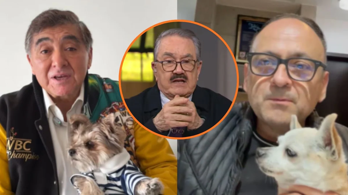 Famosos arremeten contra Pedro Sola y Ventaneando por comentario sobre envenenar perros: “Son una vergüenza”