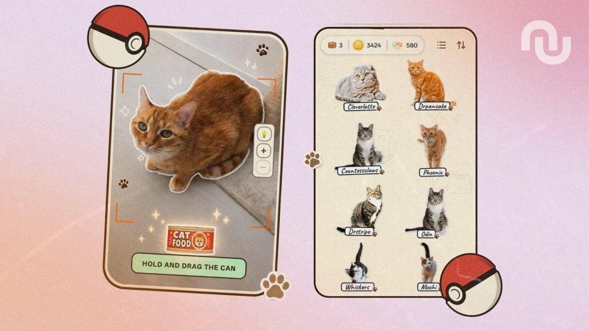 Après Pokémon Go, voici le jeu où il faut attraper… des chats