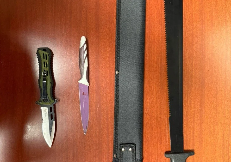 Nueve trinitarios detenidos en Carabanchel tras una reyerta con machetes y cuchillos con miembros de una banda rival