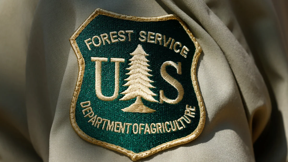 Doce horas de terror en California: dos empleados del Servicio Forestal de Estados Unidos fueron secuestrados y retenidos a punta de pistola