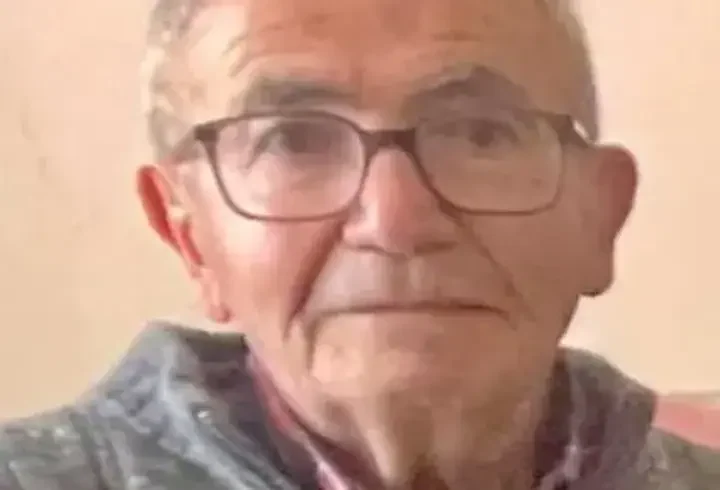 Kayıp kişinin topladığı mantarlar bulundu; kendisine ulaşılamadı